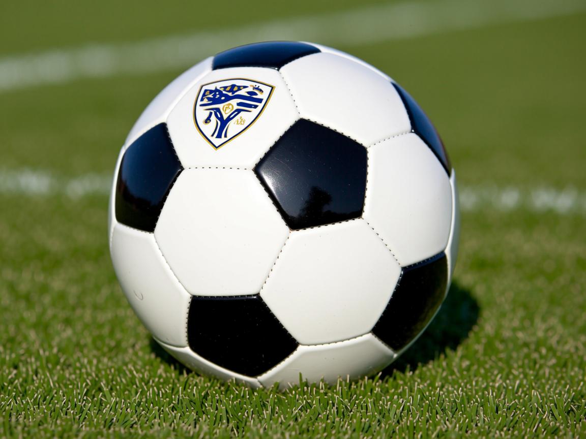 od体育app官网-国家女篮亚洲杯夺冠推动女子篮球发展，亚洲女子篮球杯战绩  第3张